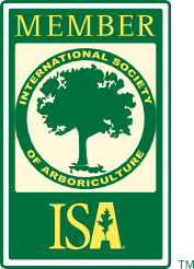 ISA Member logo