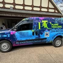 Commercial tree removal crew at North Texas property