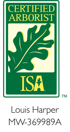 ISA Certified Arborist credential badge