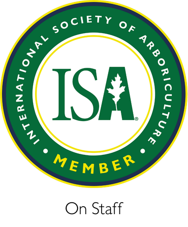 ISA Member on Staff badge